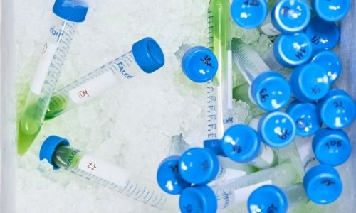 How to move samples safely